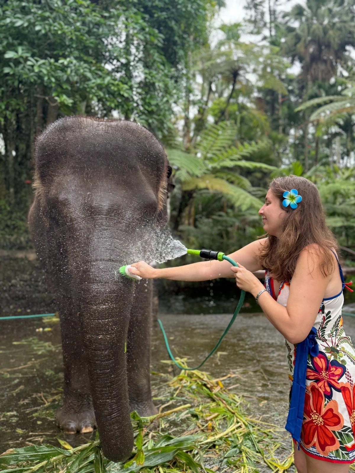 Fil Yıkama (Opsiyonel)